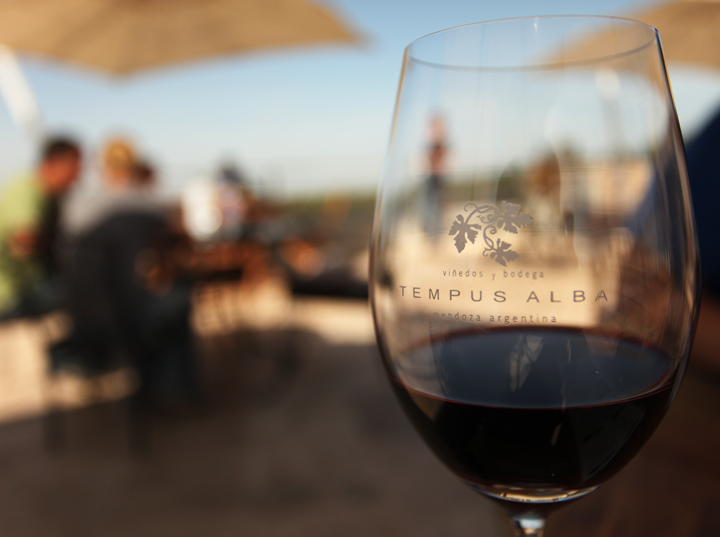 Tempus Albus Winery Tempus Albus Winery