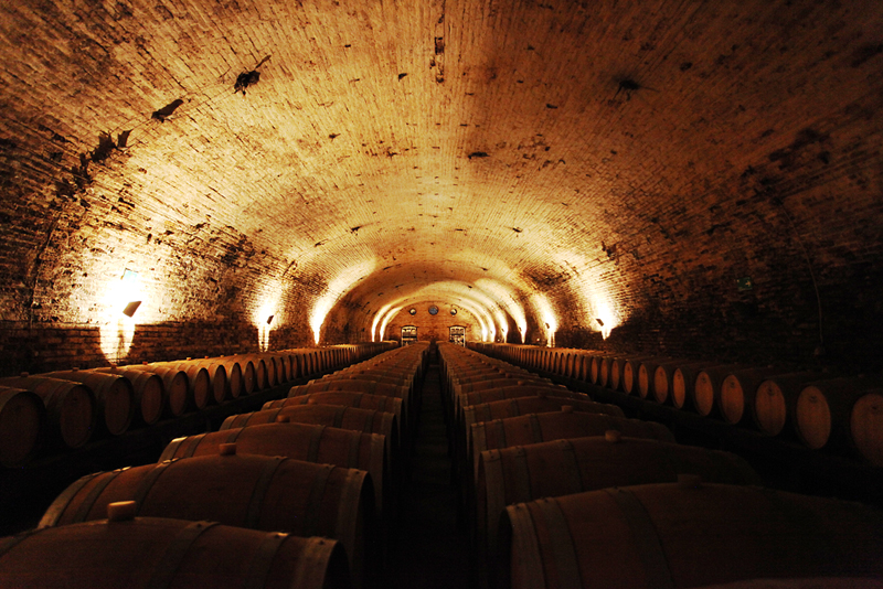 Wine barrels