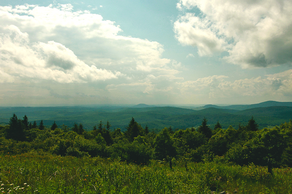 spruce knob