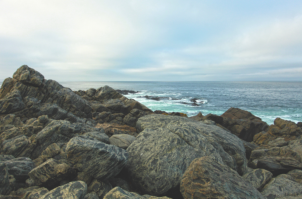 Isla Negra