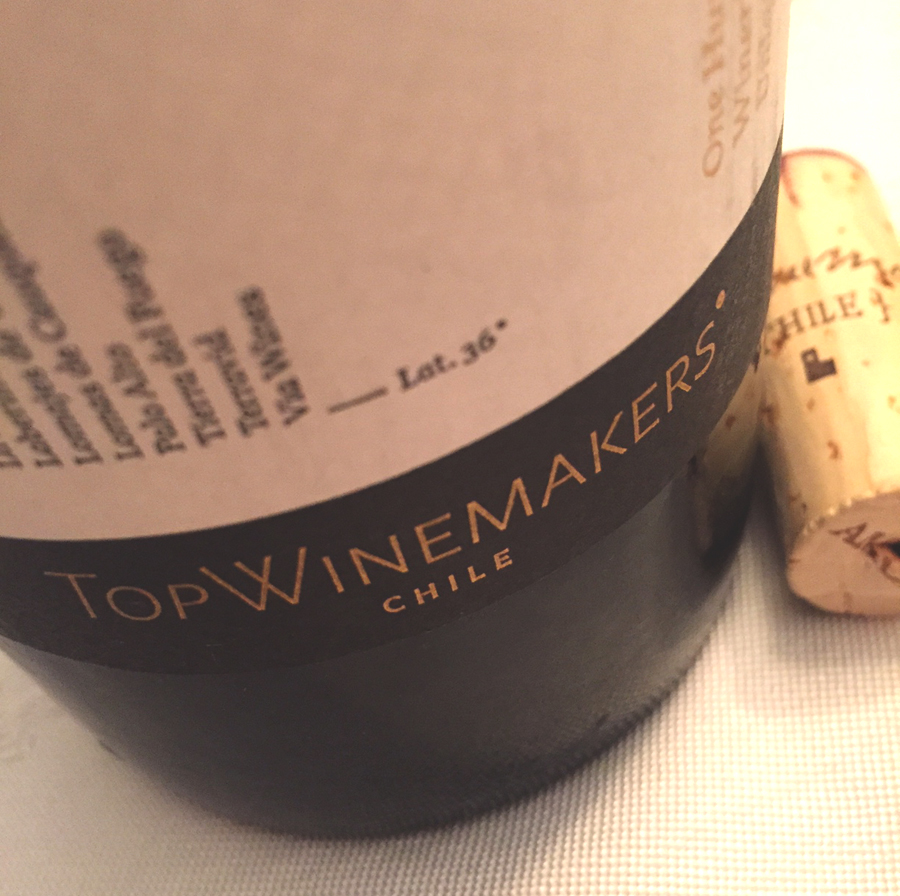 topwinemakers chile