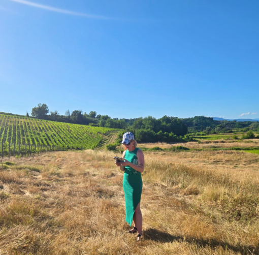 friendly skies kendal