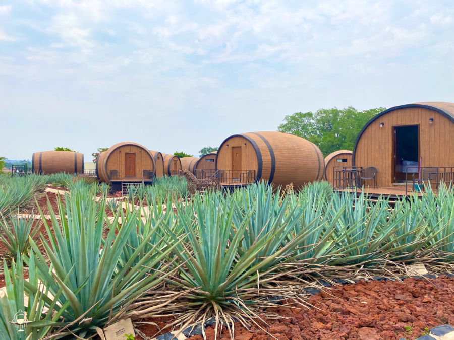 Matices Barrel Hotel Matices Barrel Hotel